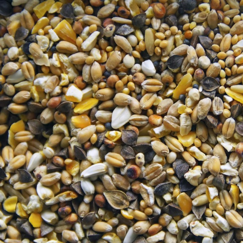 Mélange de graines pour poule 20 kg