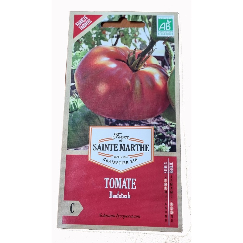 Tomate Petit Coeur de Boeuf Bio - Graine de Tomate