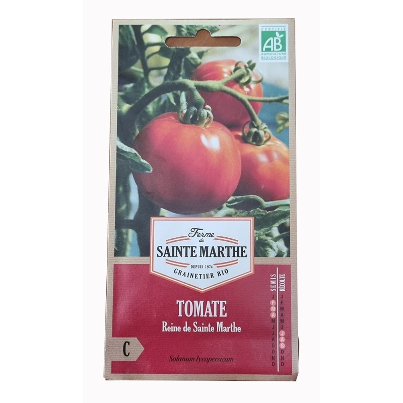 Graine de tomates
