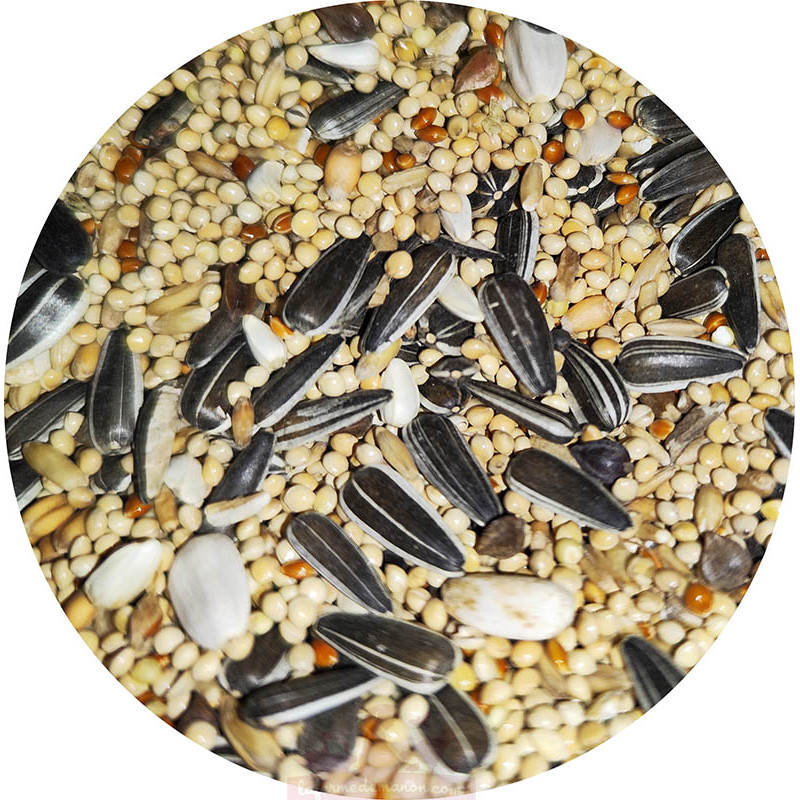 Mélange de graines pour oiseaux Grain de Vie - 10 kg : Grain de