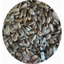 Graines de tournesol (ingrédient) - Tout savoir sur les graines de