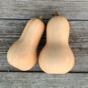 Courge Musquée Butternut AB - Sachet de 15 graines