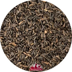 Graines de niger - 900g