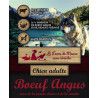 Croquette chien Adulte, Boeuf Angus, sans céréales - 2kg