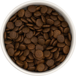 Croquette chien Adulte, Boeuf Angus, sans céréales - 2kg